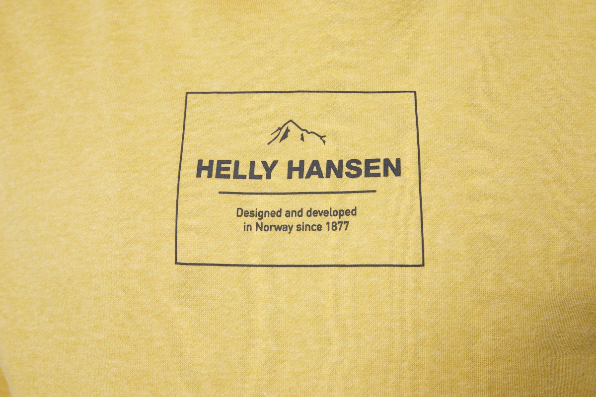HH Helly Hansen F2F Organic Cotton Hoodie 62934 arrowwood Kapuzenpullover
